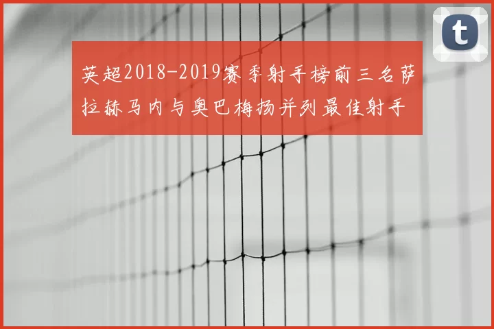 英超2018-2019赛季射手榜前三名萨拉赫马内与奥巴梅扬并列最佳射手