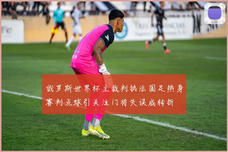 俄罗斯世界杯主裁判执法国足热身赛判点球引关注门将失误成转折