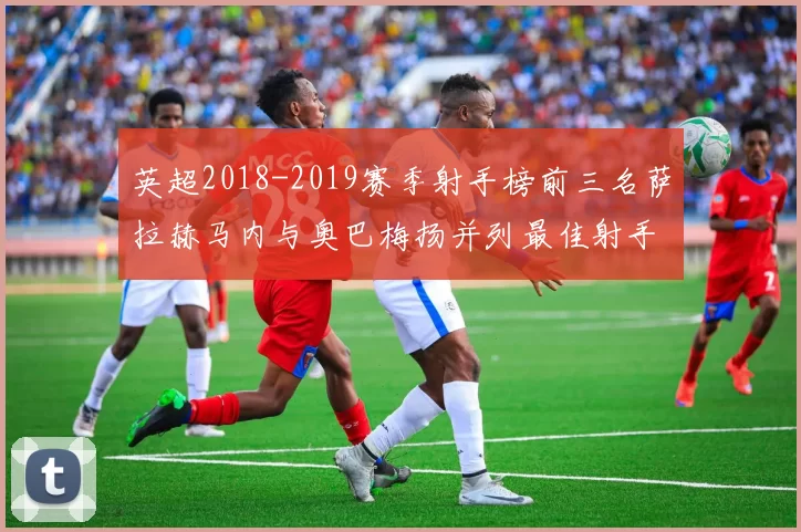 英超2018-2019赛季射手榜前三名萨拉赫马内与奥巴梅扬并列最佳射手